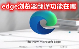 edge浏览器翻译功能在哪 edge浏览器自动翻译怎么打开