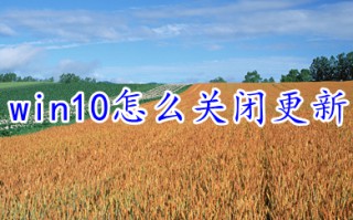 win10怎么关闭更新 教你win10关闭自动更新方法