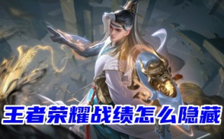 王者荣耀战绩怎么隐藏 王者荣耀隐藏个人战绩的操作教程