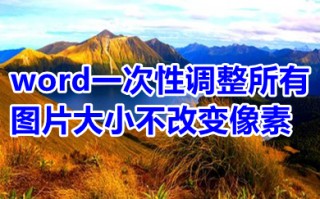 word一次性调整所有图片大小不改变像素 word怎么调节图片尺寸