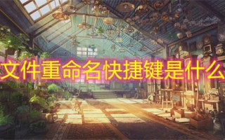 文件重命名快捷键是什么 文件夹重命名的快捷键是哪个