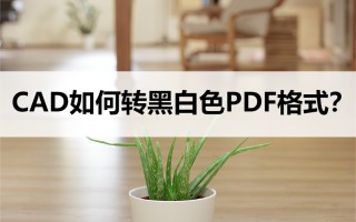 cad转pdf怎么变成黑白（这两种方法可以搞定）