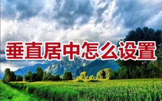 垂直居中怎么设置 word以及excel垂直居中设置方法