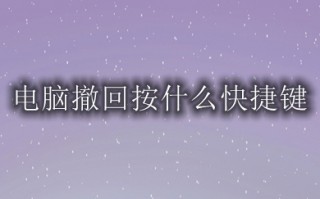 电脑撤回按什么快捷键 电脑哪个键是返回上一步