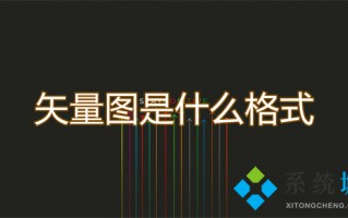 矢量图是什么格式 位图和矢量图的区别