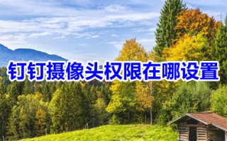 钉钉摄像头权限在哪设置 钉钉摄像头权限设置教程