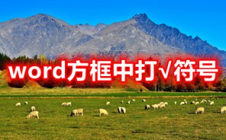 word方框中打&radic;符号 word方框&radic;怎么打