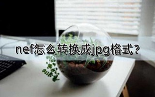 nef怎么转换成jpg格式软件（nef格式的照片怎么打开）