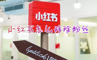 小红书怎么移除粉丝 安卓手机将粉丝移除的操作方法