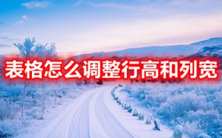 表格怎么调整行高和列宽 如何调整表格的行高和列宽