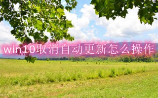 win10取消自动更新怎么操作 win10取消自动更新的多种方法介绍