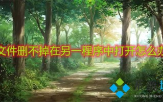 文件删不掉在另一程序中打开怎么办 删除文件夹时显示在另一程序打开如何解决