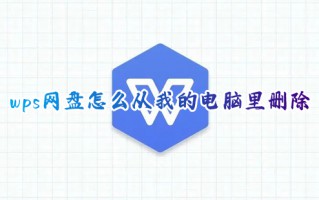 wps网盘怎么从我的电脑里删除 win10怎么删除wps网盘图标