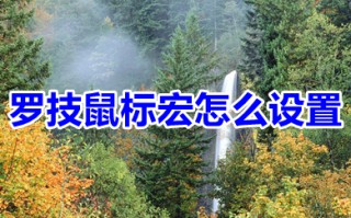 罗技鼠标宏怎么设置 罗技鼠标宏设置方法教程