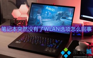 笔记本突然没有了WLAN选项怎么回事 笔记本电脑wlan不见了怎么办