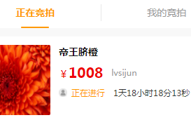 Vue实现倒计时组件(可自定义时间倒计时功能的组件)