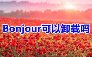 Bonjour可以卸载吗 Bonjour怎么卸载