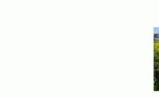 纯css3滚动特效代码