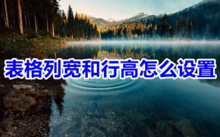 表格列宽和行高怎么设置 excel表格调整列宽和行高的操作步骤