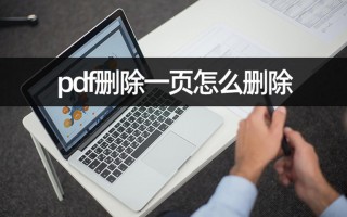 pdf删除一页怎么删除（教你学会pdf页面删除）