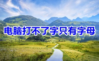 电脑打不了字只有字母 电脑打不了字只有字母怎么切换中文