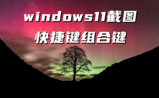 windows11截图快捷键组合键 windows11无法截图