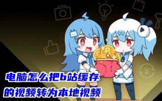 电脑怎么把b站缓存的视频转为本地视频 b站缓存视频导入本地相册的方法教程