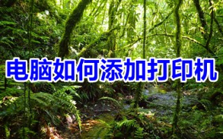 电脑如何添加打印机 win10系统如何添加打印机
