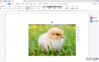 wps图片怎么居中显示（设置居中显示后为什么还是无法居中）