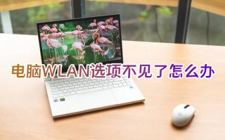 电脑WLAN选项不见了怎么办 网络设置没有wlan选项如何解决