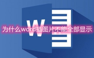 为什么word插图片不能全部显示 word文档里的图片显示不完整