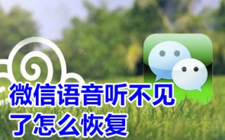 微信语音听不见了怎么恢复 微信听不到语音怎么回事