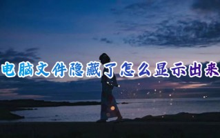 电脑文件隐藏了怎么显示出来 电脑隐藏文件怎么找出来