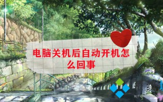 电脑关机后自动开机怎么回事 电脑关机后自动重启怎么办