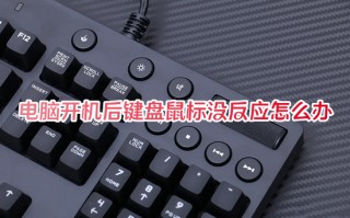电脑开机后键盘鼠标没反应怎么办 电脑鼠标键盘突然失灵如何解决