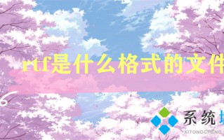 rtf是什么格式的文件 rtf格式和word的区别