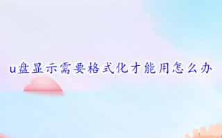 u盘显示需要格式化才能用怎么办 u盘显示需要格式化才能用的解决方法