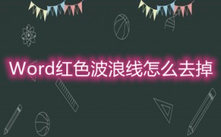 Word红色波浪线怎么去掉 word取消红色下划波浪线的方法