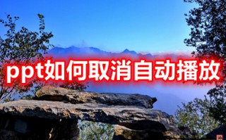 ppt如何取消自动播放 ppt停止自动播放的按钮