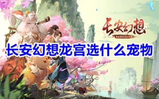 长安幻想龙宫选什么宠物 长安幻想龙宫带什么神兽