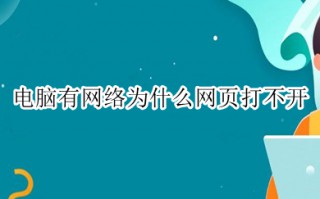 电脑有网络为什么网页打不开 电脑有网络但网页打不开的解决方法