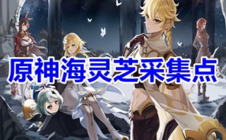 原神海灵芝采集点 原神海灵芝刷新时间