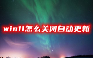 win11怎么关闭自动更新（暂时关闭、永久关闭）