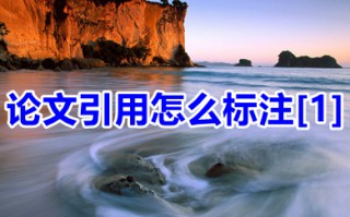 论文引用怎么标注[1] 论文引用的文献的标注方法