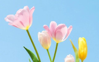 关于竞争的正能量朋友圈句子简短（竞争的句子经典语录）