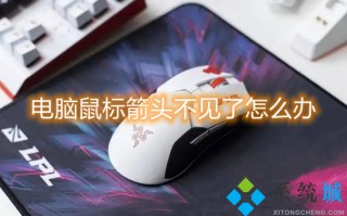 电脑鼠标箭头不见了怎么办 电脑鼠标消失了怎么恢复