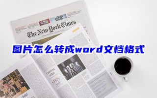 图片怎么转成word文档格式 图片转成word文档的两种方法