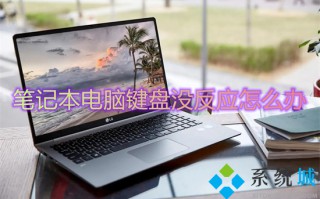 笔记本电脑键盘没反应怎么办 笔记本键盘全部失灵怎么回事