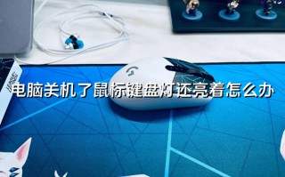 电脑关机了鼠标键盘灯还亮着怎么办 win10关机后鼠标灯还亮怎么解决