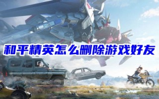 和平精英怎么删除游戏好友 吃鸡全部列表中彻底删掉一个人的方法教程